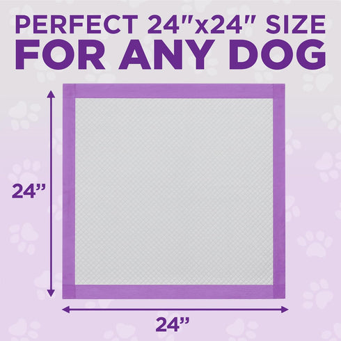 50 Count 59oz, 24x24 Inch POOPH Potty Pads Superior Absorbency & Odor Control Absorbs Leak-Proof, Track-Proof
