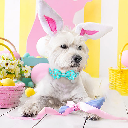 Easter Dog Collar with Bow Tie, Cotton Carrot Design for X-Large Dogs, Cute Pet Collar with Metal Buckle