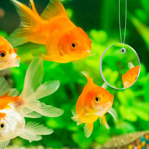 POPETPOP Betta Exercise Mirror Set, Double Sided Circle with Floating Ball for Fish Tank
