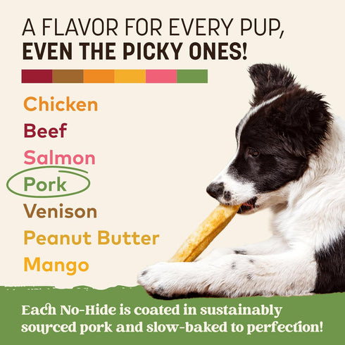 2 Count Earth Animal No Hide Chews - Long Lasting Rawhide Free Medium Dog Chews Rolls, Pork