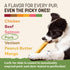 2 Count Earth Animal No Hide Chews - Long Lasting Rawhide Free Medium Dog Chews Rolls, Pork