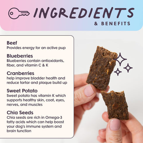 Leash & Load Dog Treats Beef Jerky Snack Bars, 5 oz Bag, Natural Superfood Grain Free Dog Treat Made with Real Beef,