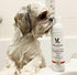 Warren London Foaming Pet Facial - Tear Free Dog Face Wash, Refreshing Cucumber Melon Wash, 1 Gallon