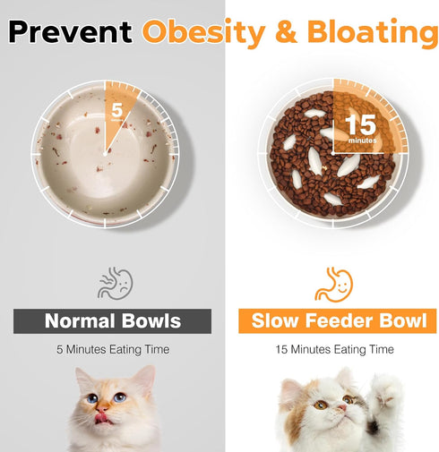 Cat Slow Feeder Bowl with Fish Pool Design, Interactive Puzzle Feeder Dish for Healthy Eating Diet for Cats