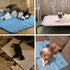 MICROCOSMOS Summer Cooling Mat & Sleeping Pad, Water Absorption Top, Safe Materials, Easy Carry, EZ Clean