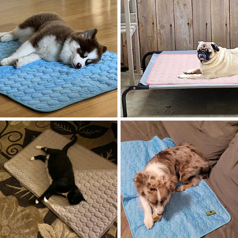 MICROCOSMOS Summer Cooling Mat & Sleeping Pad - Water Absorption Top, Safe Materials, Easy Carry, EZ Clean, Blue, 59" x
