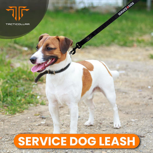 Service Dog Leash, Strong Nylon Leash, Soft Neoprene Padded Handle, Embroidery (4ft Length x 1in Width)