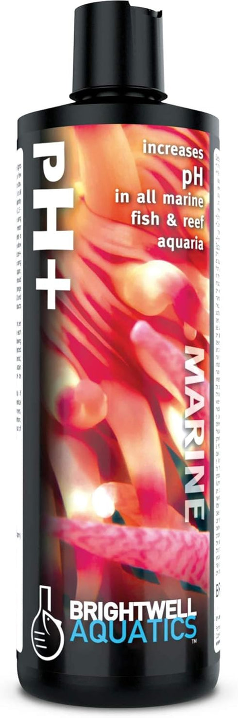 Brightwell Aquatics pH+ - pH Increaser for Marine and Freshwater Aquariums, 250-ml