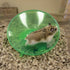 Ware Manufacturing Flying Saucer Exercise Wheel for Small Pets, 5-Inch, Colors May Vary