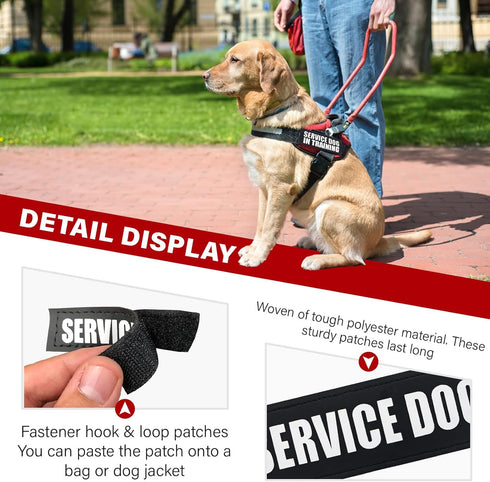 Service Dog Patches, 2 Pack Black Removable Vest Patch for Dogs, Hook Backing for Harness, Service Dog in Training-M