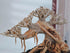 10 Azil Aquascape Bonsai Driftwood Tree Premium Natural Aquarium Decor for Fish Tanks, Freshwater Aquariums, Hardscape