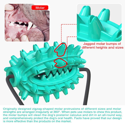 Guardians Dog Chew Toy with Suction Cup, Food Dispensing Toothbrush for Small Medium Dogs (Blue Cactus)