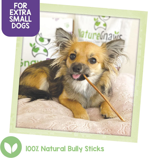 Nature Gnaws Extra Thin Bully Sticks for Dogs, Premium Natural Beef Bones, 6 Inch Long Lasting Chew Treats