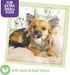 Nature Gnaws Extra Thin Bully Sticks for Dogs, Premium Natural Beef Bones, 6 Inch Long Lasting Chew Treats