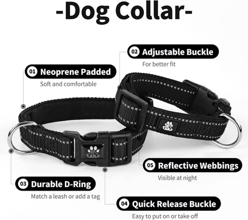 IVY&LANE Reflective Dog Collar and Leash Set - Adjustable Neoprene Padded Collars for Puppy, 5FT Nylon Leash (Medium,