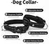 IVY&LANE Reflective Dog Collar and Leash Set - Adjustable Neoprene Padded Collars for Puppy, 5FT Nylon Leash (Medium,