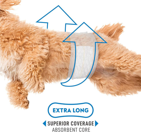 20 Count) Paw Inspired Select Fit Male Dog Diapers, Disposable Male Wraps with Wetness Indicator| Belly Bands