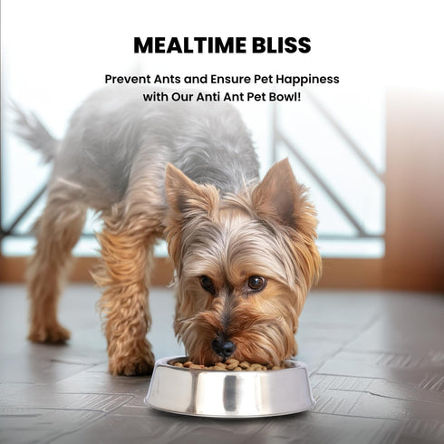 ICONIC PET 16 oz/2 Cup Stainless Steel Non Skid Pet Food/Water Bowl - Noise Free, Ant Resistant Dog/Cat Feeding Bowl