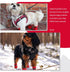 Dog Shoes & Paw Protector, Anti-Slip Sole Summer Dog Booties with Reflective Straps, 4PCS Red for Small Medium Dogs