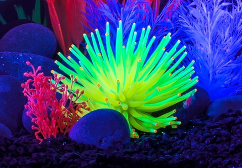 GloFish Anenome Ornaments, Fish Tank Decorations that Create a Glowing Effect.