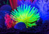 GloFish Anenome Ornaments, Fish Tank Decorations that Create a Glowing Effect.