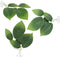 3 Pcs Betta Fish Leaf Pad Aquarium Décor, Simulating Natural Habitat for Spawning Grounds and Resting Bed.