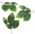 3 Pcs Betta Fish Leaf Pad Aquarium Décor, Simulating Natural Habitat for Spawning Grounds and Resting Bed.