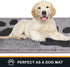 PURRUGS 20" x 31.5" Dirt Trapper Door Mat, Non-Skid Microfiber Entryway Rug, Super Absorbent Welcome Mat for Shoes, Grey