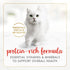 (Pack 24) 3 oz. Purina Fancy Feast Gravy Lovers Beef Feast Pate in Wet Cat Food Gravy - of Cans
