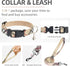 PUPTECK Adjustable Dog Harness Collar and Leash Set, Step in No Pull Pet Harness for Small Medium Dogs, Beige