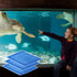 10-20 Gallon Aquarium Filters, EZ-Change #2 Filter Cartridge, 10 Pcs for Healthier Fish