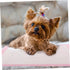60x60cm 40 Yardwe Thickened PET Training Pads Large Pieces Water Absorbent Dog Diapers Leakproof Puppy Pads for Indoor