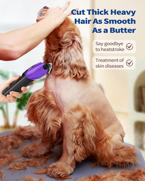 Trimmer 2 1) PAPMINI Dog & Cat Grooming Kit for Thick Coats, Heavy Duty Rechargeable with LED Display & Storage Bag