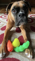 Spunky Pup Interactive Treat Play Dog Toy | Holding Treats for Dogs | Promotes Healthy Teeth & Gums | Pear