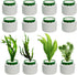12 Pack Anti-Floating Ceramic Aquarium Plant Rings, Fixed Rings for Fish Tank Accessories