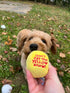 Midlee Snowball Fight Plush Dog Toy - 3"