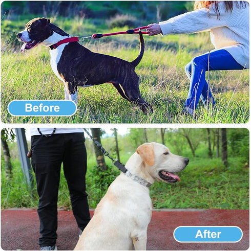 CBBPET Dog Prong Collar - Adjustable Training Collar with Quick Release Buckle for Small Medium Large Dogs