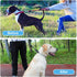 CBBPET Dog Prong Collar - Adjustable Training Collar with Quick Release Buckle for Small Medium Large Dogs