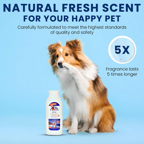 Dead Sea Minerals Dog Shampoo & Conditioner - Chamomile, Tea Tree Oil, Aloe Vera, Oatmeal - Hypoallergenic, Paraben &