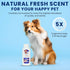 Dead Sea Minerals Dog Shampoo & Conditioner - Chamomile, Tea Tree Oil, Aloe Vera, Oatmeal - Hypoallergenic, Paraben &