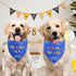 Agroon 1PCS, Blue Dog Birthday Bandana Boy XLarge Durable Triangle Reversible Scarf Bibs Handkerchief for Puppy Pet