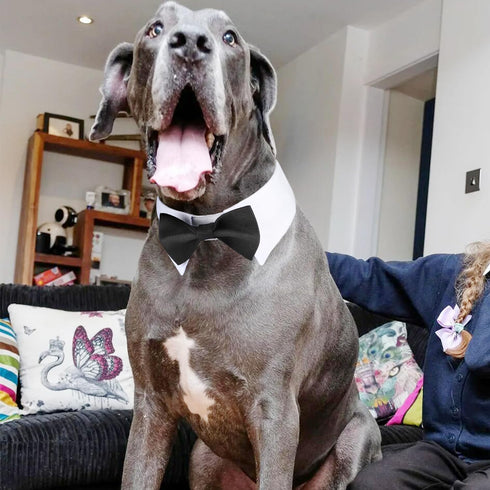 Segarty Dog Bow Tie, Adjustable Black Bowtie Collar for Extra Large Dogs, Comfortable Cotton Grooming Accessory