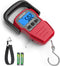 HEETA Fish Scale with Backlit LCD Display, Up to 110lb/50kg Digital Portable Hanging Weight Scale with Hook & Tape