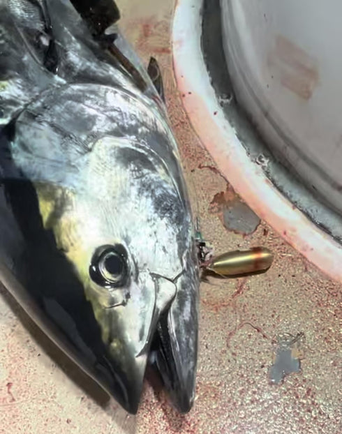 Duran's Fishing Products DFP Brass Tuna Bomb