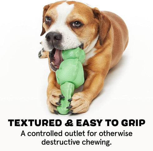 Barkbox Super Chewer Tough Dog Chew Toys for Aggressive Chewers, Dental Stimulating Iguana - Large