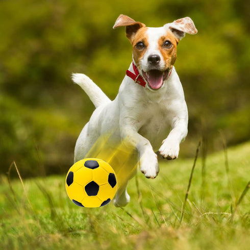 9 Pcs Latex Squeaky Dog Toys Ball - Interactive Fetch Toys for Small Medium and Large Dogs