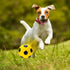 9 Pcs Latex Squeaky Dog Toys Ball - Interactive Fetch Toys for Small Medium and Large Dogs
