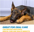 12” Trachea for Dogs | 10 Pack | 100% Natural Beef Chew from Free-Range Cattle