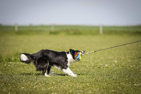 Flirt Pole for Dogs - Safe & Strong for Large Breeds - Heavy-Duty Teaser Wand for Tug of War and Puppy Training