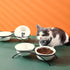 Elevated Cat Bowls Set, Ceramic Raised Cat Food Water Bowl with Metal Stand for Indoor Cats, 12 Ounces, Cute Paw Pattern